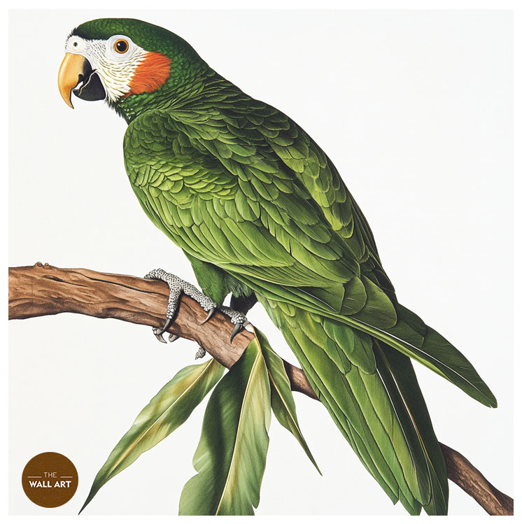 images/products/green_parrot_on_branch/green_parrot on branch_WHITE_P.jpg